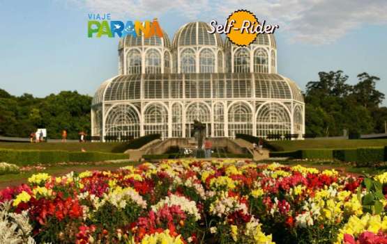 Curitiba